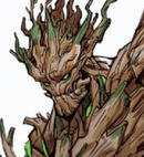 Groot